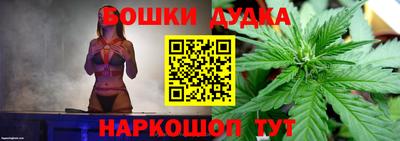 сатива Краснознаменск