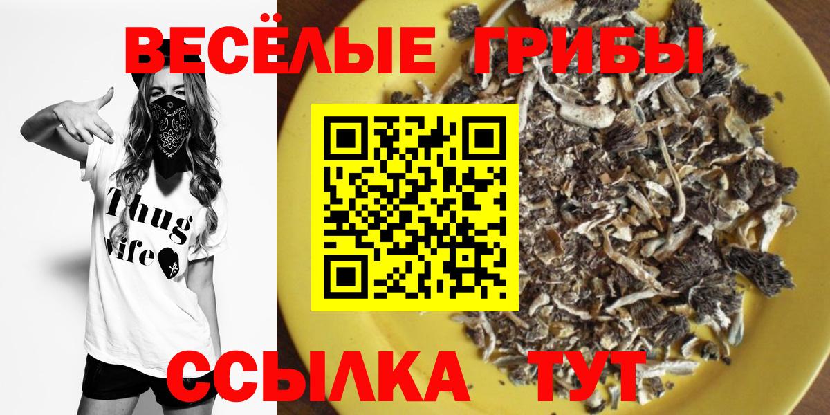 Галлюциногенные грибы GOLDEN TEACHER  Вход с VPN  Сочи 