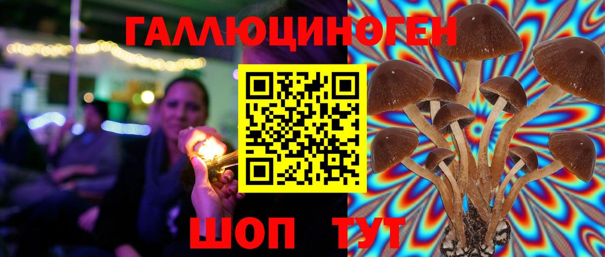 Псилоцибиновые грибы прущие грибы Сочи
